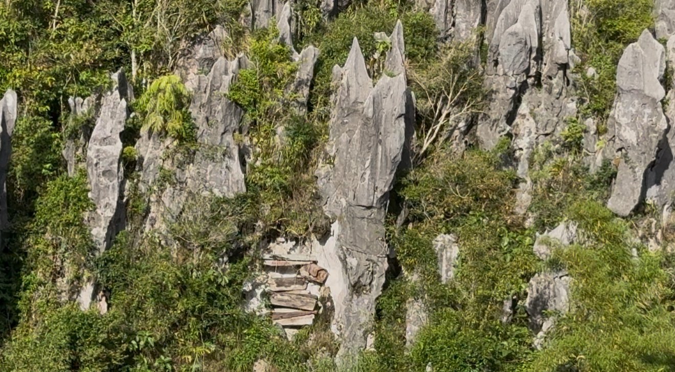Limestone pinnacles and greenery surrounding a group of cliffside coffins in Sagada