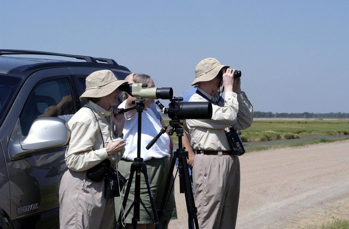 The Kansas Wetlands and Wildlife Scenic Byway is a paradise for birdwatchers such as those shown here. Both beginners and experts will find a visit to the wetlands an exciting experience. Most birdwatchers simply stop along the dikes and roadways with binoculars and spotting scopes as indicated in this photo.