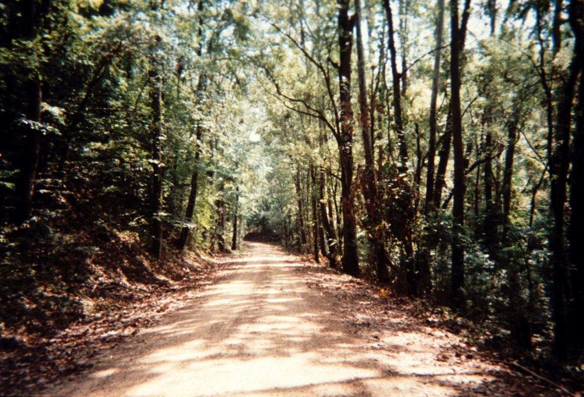The St. Francis National Forest is the smallest national forest in the country and includes the only upland hardwood forest along Arkansas' Great River Road route. It also includes the only unpaved section of the route.
