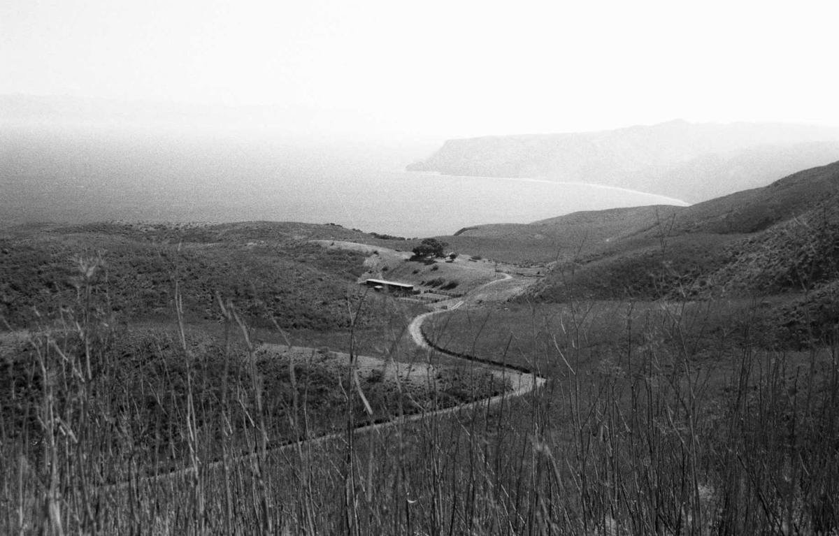 Rolling coastal hills and a winding road on Santa Cruz Island.