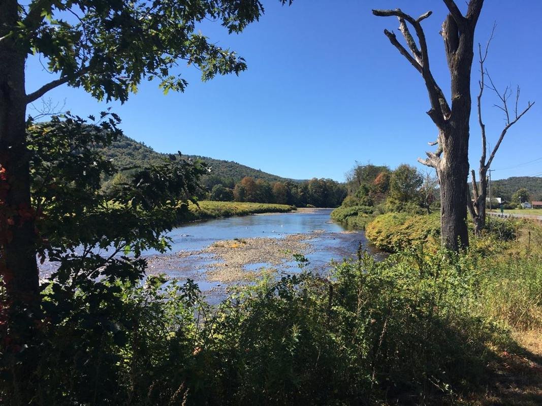 This photo is of the view of the Deerfield River as seen from the pull-off area on the south side of the Byway. The view is to the west and there are trees and vegetation in the foreground, the foothills of the Berkshire Mountains in the background, and the Deerfield River.