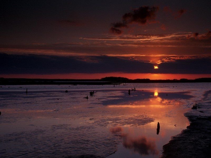 A dark, cloud-tainted sunset over the mysterious waters of the Blackwater National Wildlife Refuge evokes a feeling of isolation similar to what someone trying to traverse the landscape at nightfall might feel.