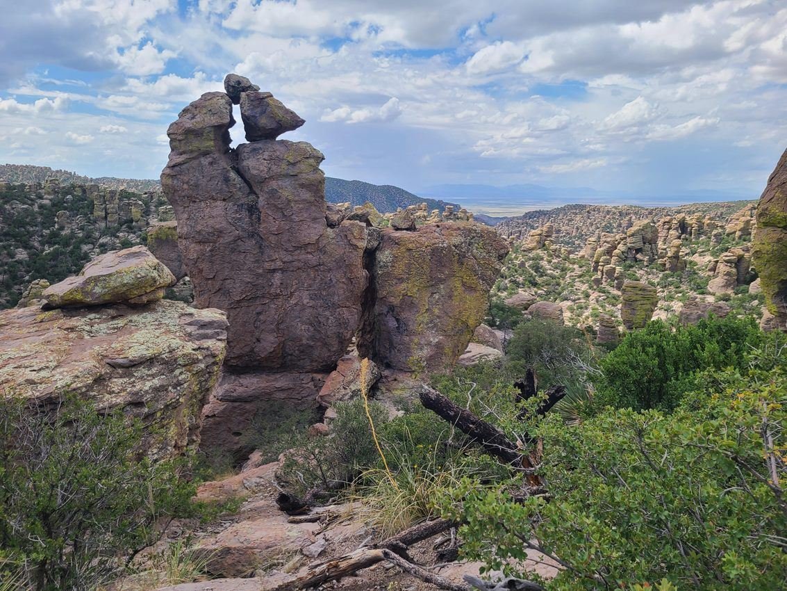 Many rock pinnacles with a valley and mountain range in background