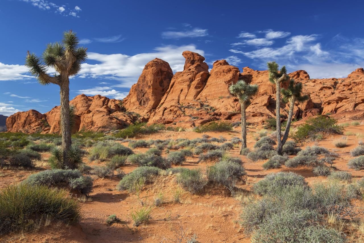 Gold Butte