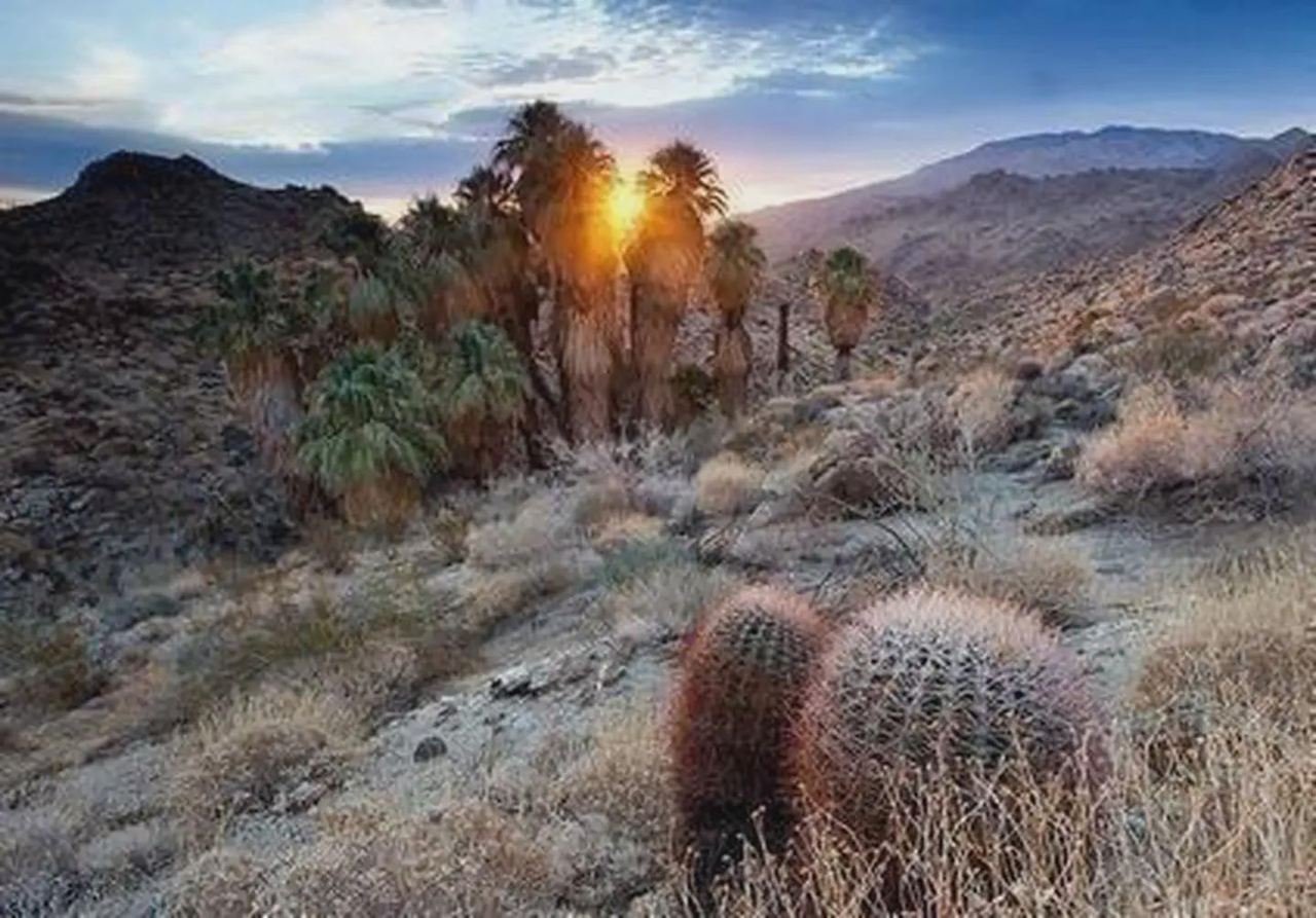 Santa Rosa San Jacinto Mountains National Monument
