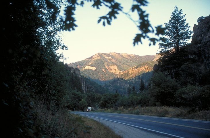 Early morning sun tips the mountaintops while the road remains shaded in Utah's Logan Canyon Scenic Byway