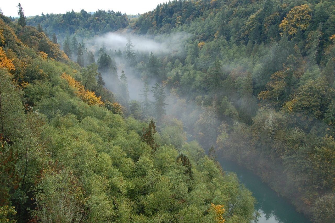 Mist obscures the Cowlitz River far below the White Pine Scenic Byway (US 12).