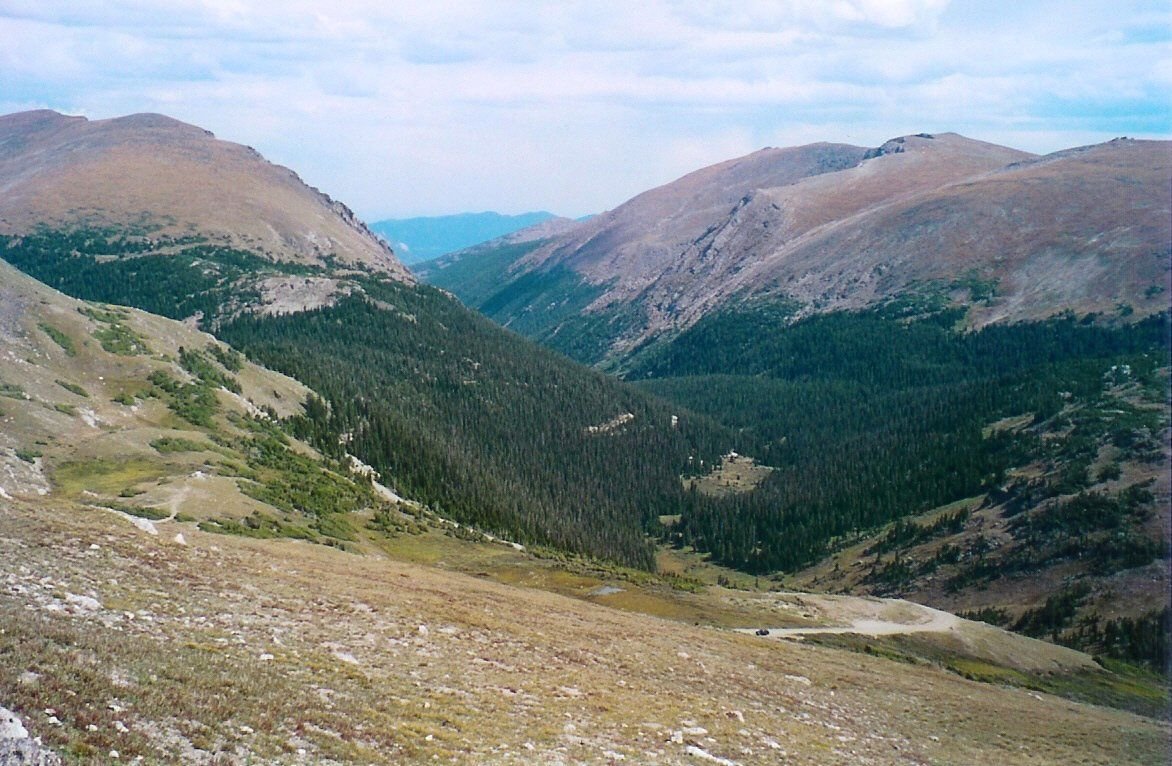 This summer view from the Alpine Visitor Center looks down on the rich forested valley along Fall River Road.