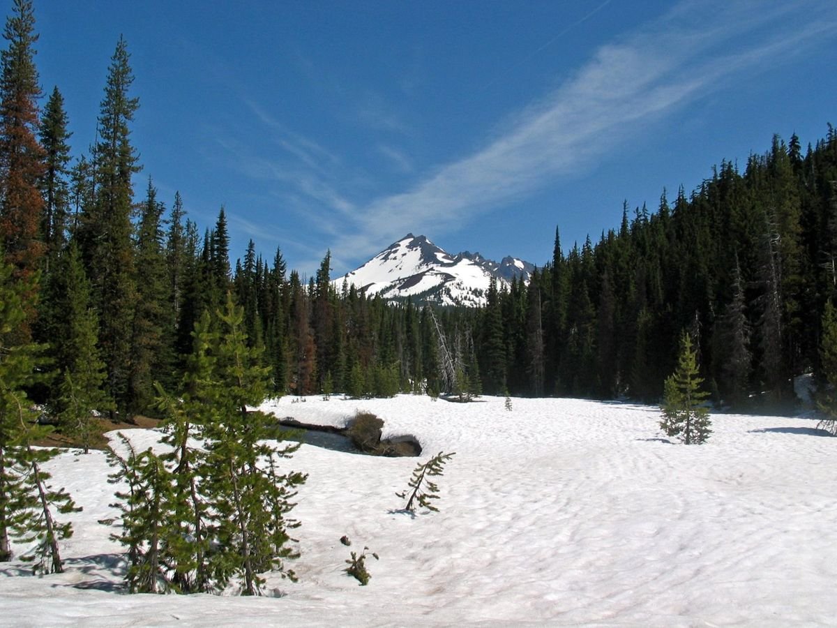 The jagged peak of Broken Top Mountain rises from a bowl of trees in this shot from the Cascade Lakes Scenic Byway.