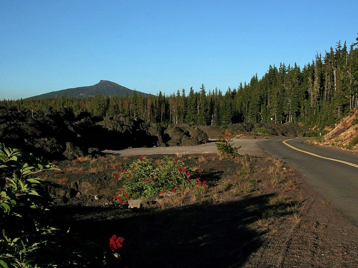 The green spires of the evergreens line the eastbound route of McKenzie Pass-Santiam-Pass Scenic Byway.