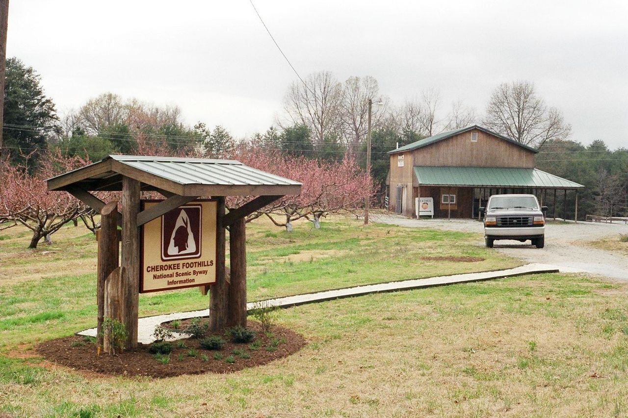 A Cherokee Foothills National Scenic Byway information kiosk sits outside the Peach Country roadside stand, surrounded by blooming peach trees.