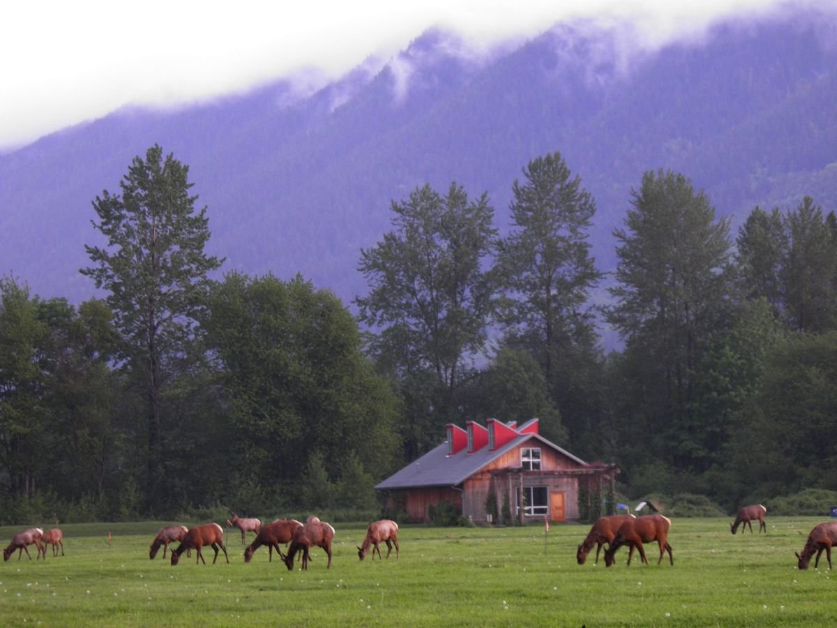 This scenic open space at Meadowbrook Farm on the Snoqualmie Valley Floor is an important story location to the Snoqualmie Tribal people. Historically, the Snoqualmie Tribal people maintained the prairie through traditional methods. Today, Meadowbrook is managed for historic and cultural interpretation, wildlife habitat, agriculture, and public recreation.