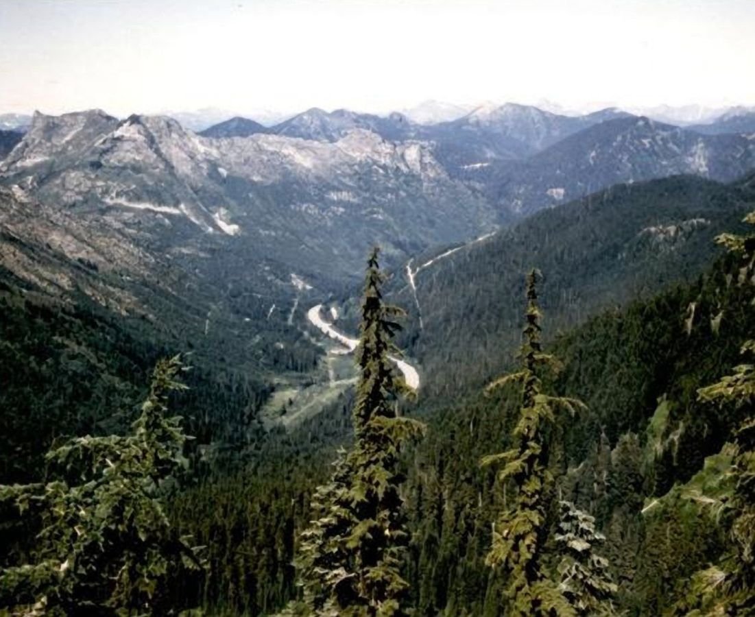 Majestic pines and gently sloping hills encase the road leading into the Cascade Mountains of Washington state.