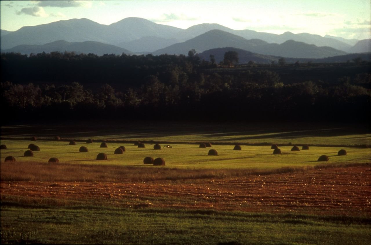 Working farmland in the Town of Essex. Farming and forestry shapes the landscape of Lakes to Locks Passage. Agriculture provides the ambiance of the small villages and hamlets throughout the region and maintains the scenic resources and quality of life that is enjoyed by all.