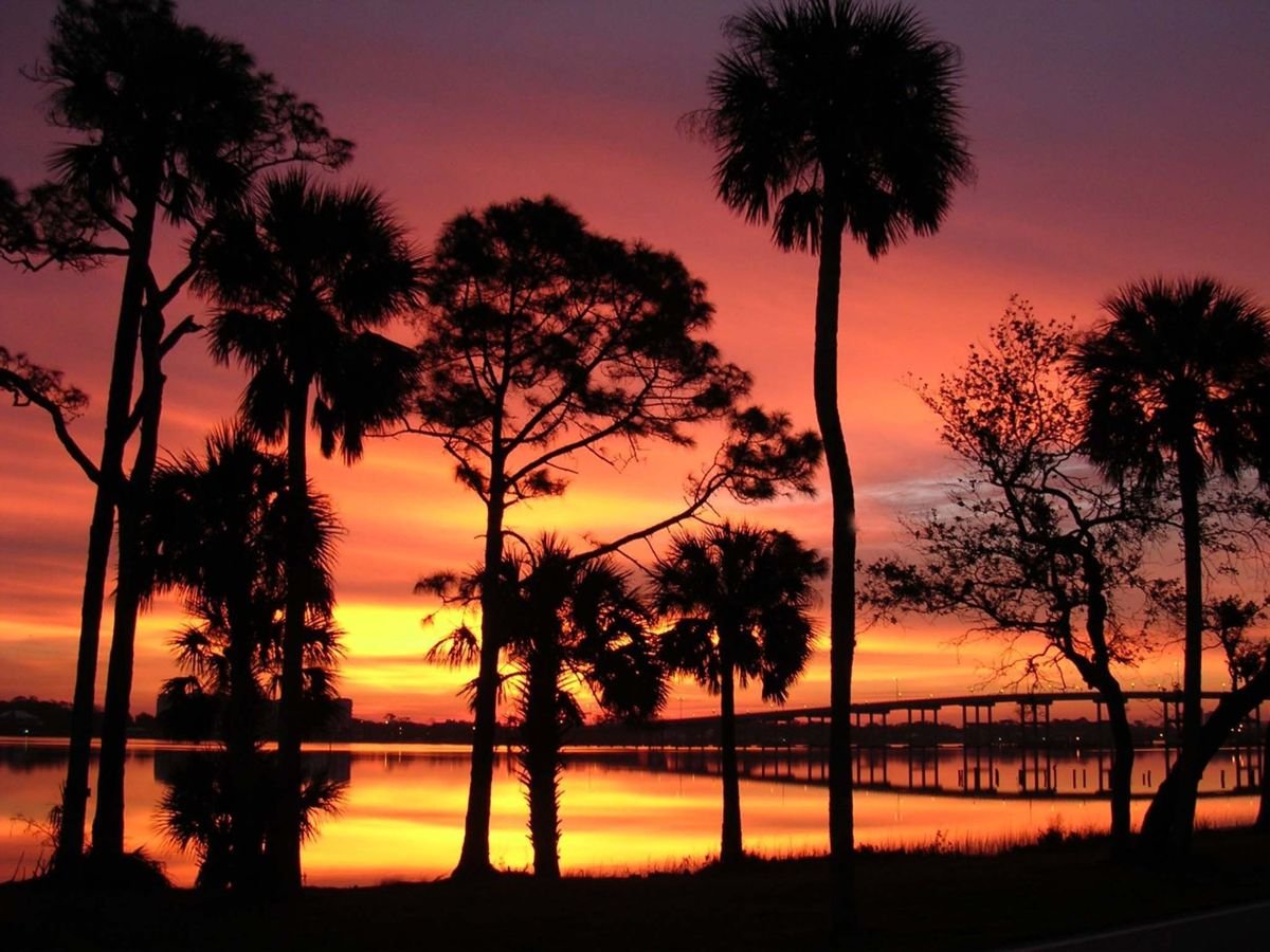 Tall trees stand silhouetted against a glorious Florida sunset, with the Granada Bridge reflected in the golden waters of the Intercoastal Waterway.