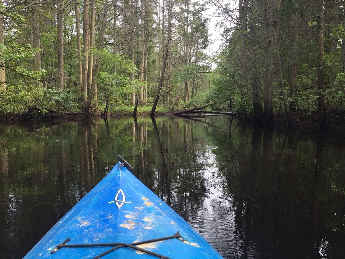 A kayaker glides along the slow-moving Mullica River, a 50-mile waterway that provides a serene setting for travelers on the New Jersey Pine Barrens Byway. Named after an early Finnish settler, the Mullica is a hotspot for kayaking and birdwatching.