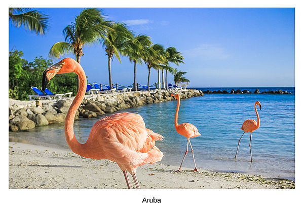 Aruba