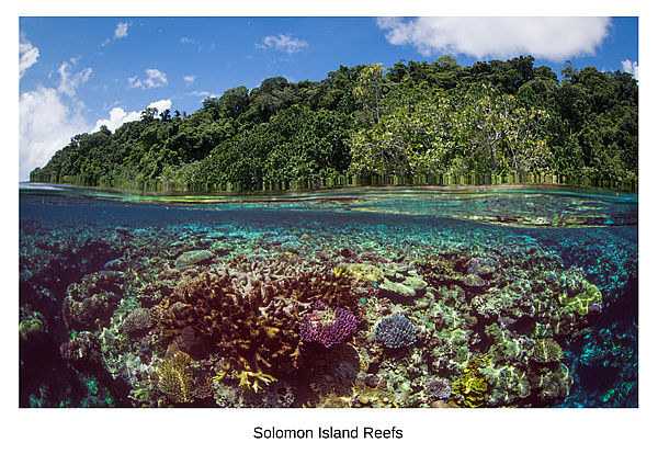 Solomon Island