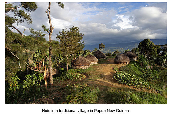 Papua New Guinea