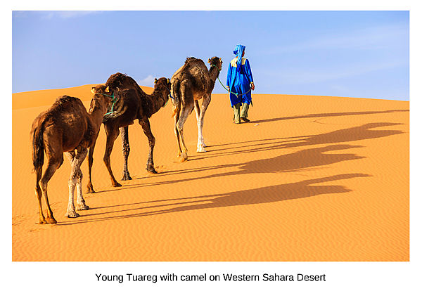 Western Sahara